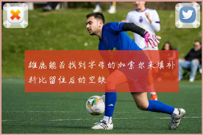 雄鹿能否找到字母的加索尔来填补科比留住后的空缺