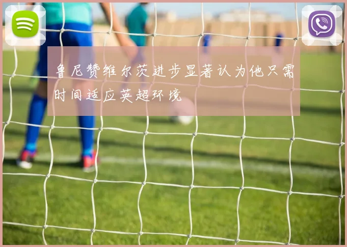 鲁尼赞维尔茨进步显著认为他只需时间适应英超环境
